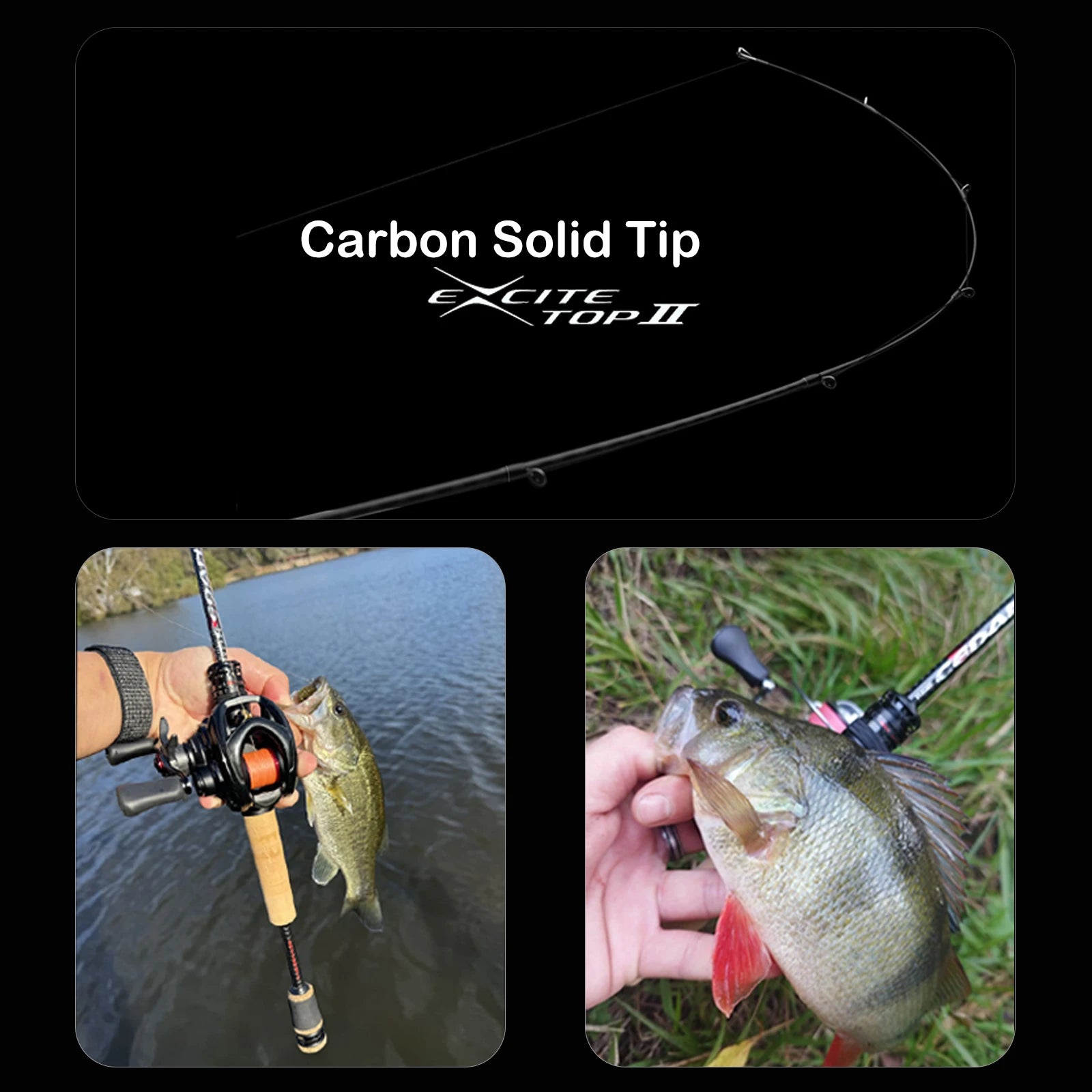 PURELURE CEDAN Bass Rod