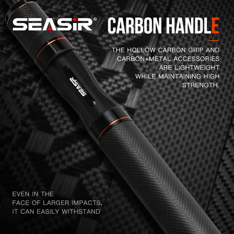 SEASIR Black Arrow BFS Rod